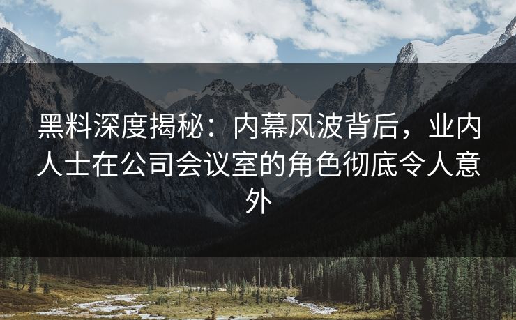 黑料深度揭秘：内幕风波背后，业内人士在公司会议室的角色彻底令人意外