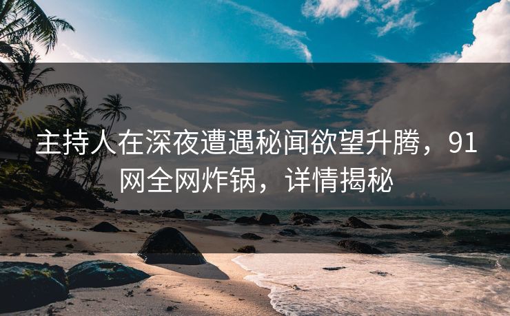 主持人在深夜遭遇秘闻欲望升腾，91网全网炸锅，详情揭秘