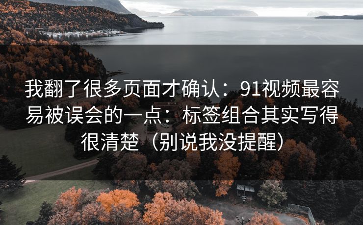 我翻了很多页面才确认：91视频最容易被误会的一点：标签组合其实写得很清楚（别说我没提醒）