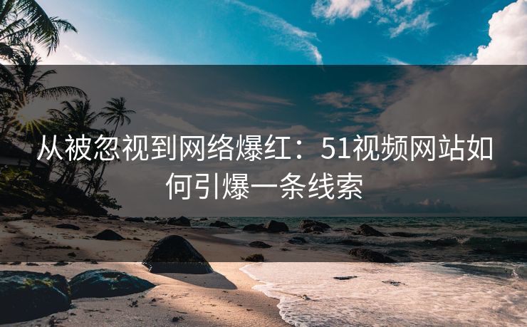 从被忽视到网络爆红：51视频网站如何引爆一条线索